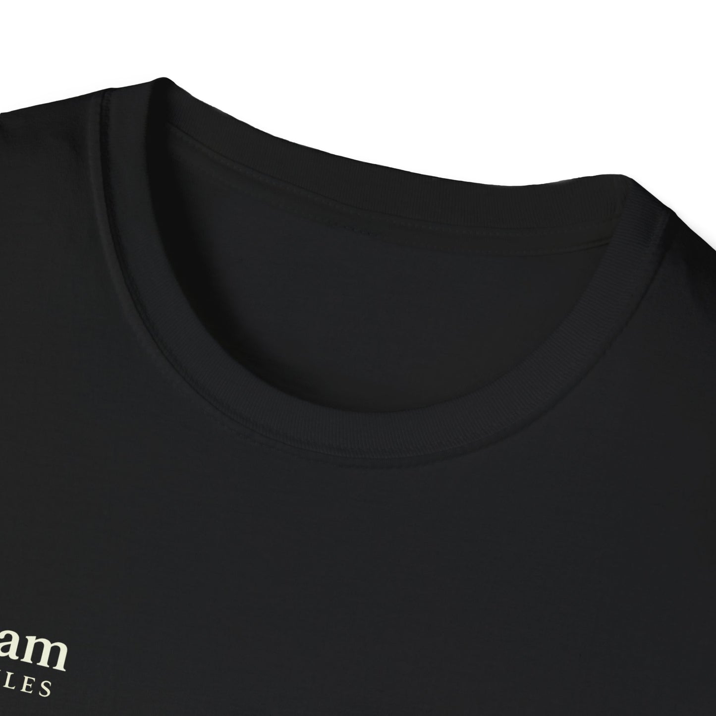 Salaam Styles | Surah Ibrahim 14:7 | Multi-Color Truth Unisex T-Shirt with Qr-code