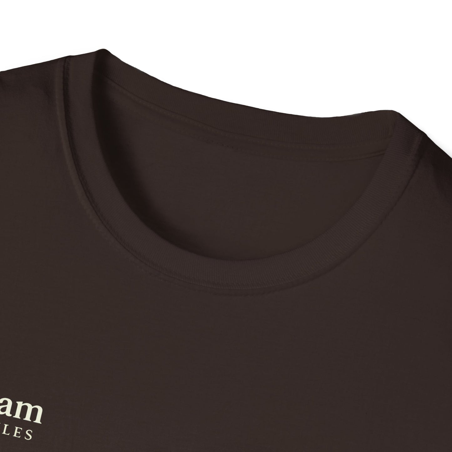 Salaam Styles | Surah Ibrahim 14:7 | Multi-Color Truth Unisex T-Shirt with Qr-code