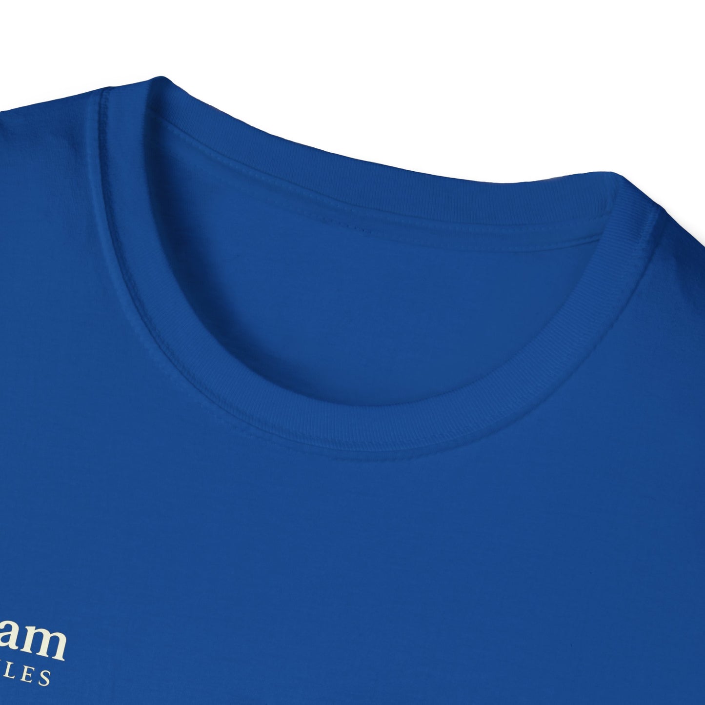 Salaam Styles | Surah Ibrahim 14:7 | Multi-Color Truth Unisex T-Shirt with Qr-code