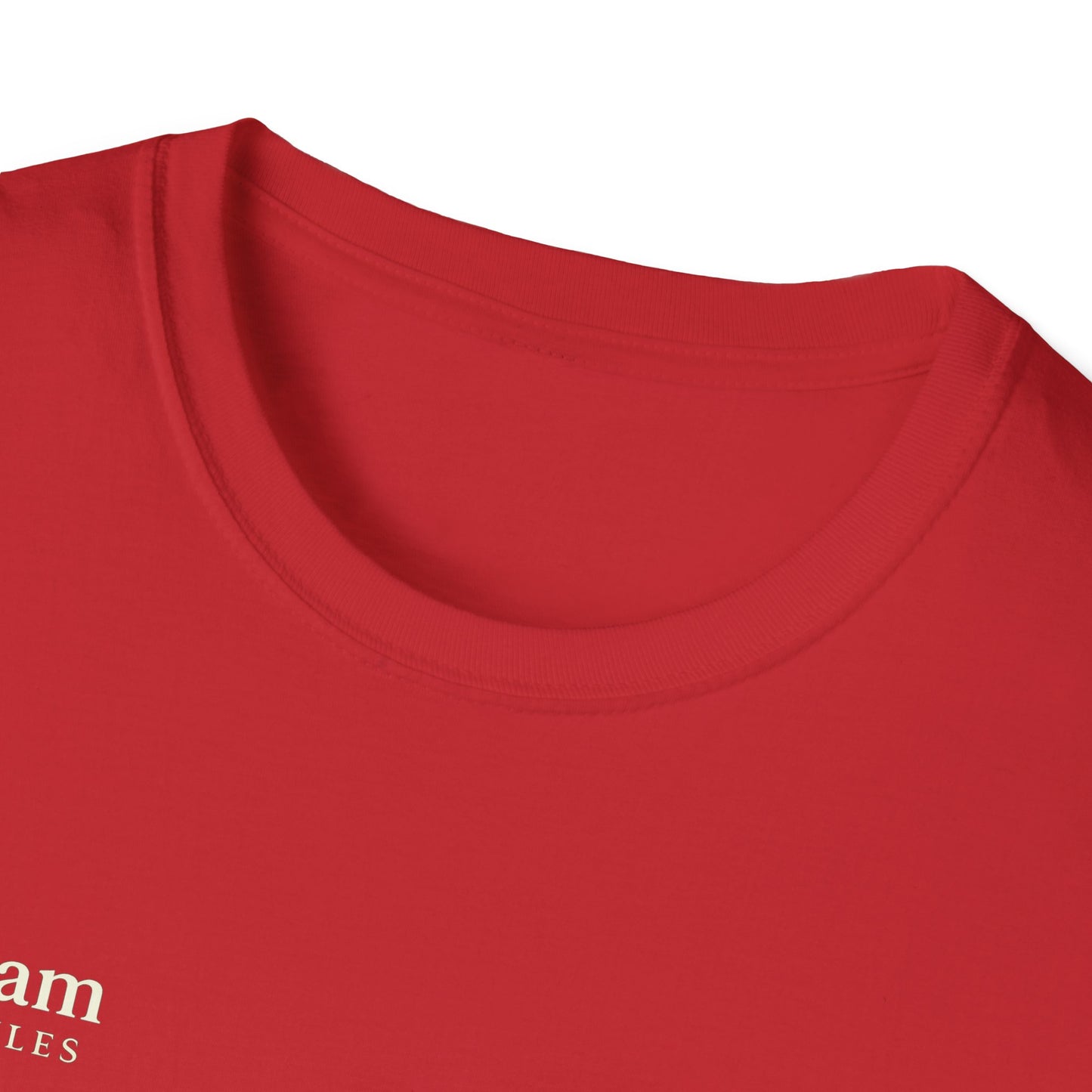 Salaam Styles | Surah Ibrahim 14:7 | Multi-Color Truth Unisex T-Shirt with Qr-code